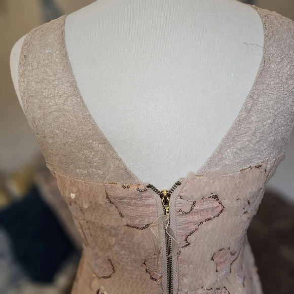 Eva Franco Sugarberry Sequin Lace Mini Dress Size 8 Blush Pink Hand-Embellished - Picture 8 of 16